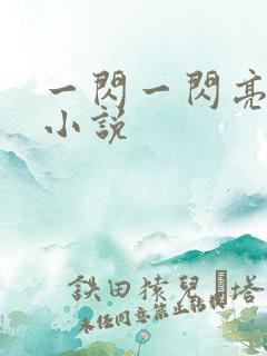 一闪一闪亮星星小说