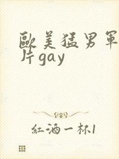 欧美猛男军警长片gay