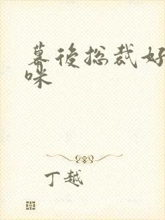 幕后总裁好孕妈咪