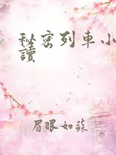 秘密列车小说阅读