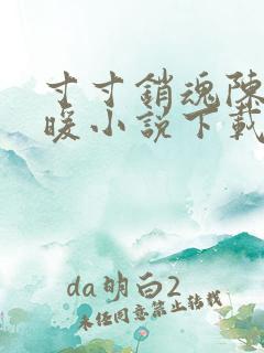 寸寸销魂陈聪王暖小说下载