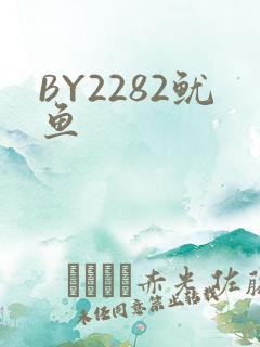 BY2282鱿鱼