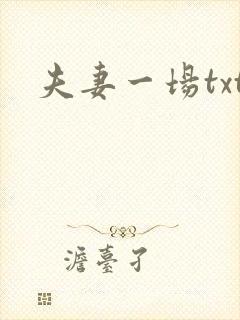 夫妻一场txt