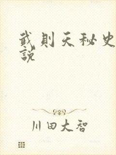 武则天秘史 小说