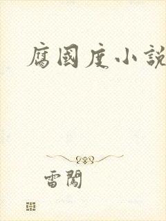 腐国度小说