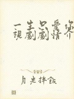 一生只爱你 电视剧剧情介绍