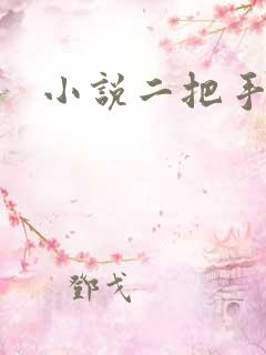 小说二把手