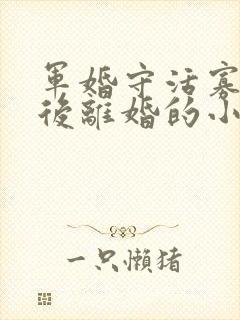 军婚守活寡重生后离婚的小说