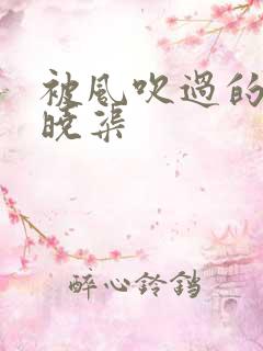 被风吹过的夏天晓渠