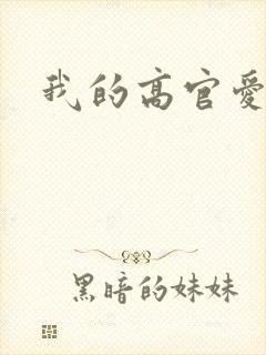 我的高官爱人