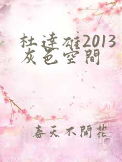 杜达雄2013灰色空间