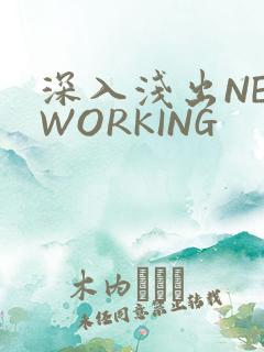 深入浅出NETWORKING