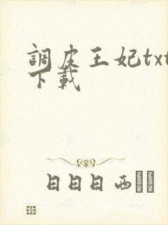 调皮王妃txt下载