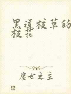 黑道校草的黑道校花