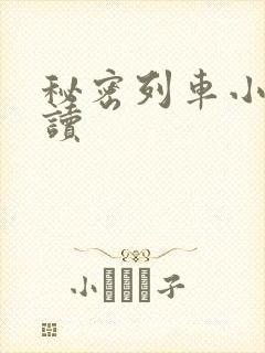 秘密列车小说阅读