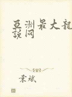 亚洲最大龙腾小说网