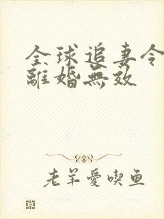 全球追妻令老婆离婚无效