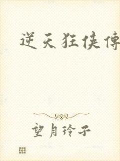 逆天狂侠传