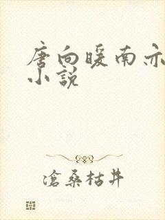 唐向暖南亦琛的小说