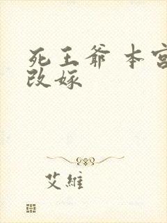 死王爷 本宫已改嫁