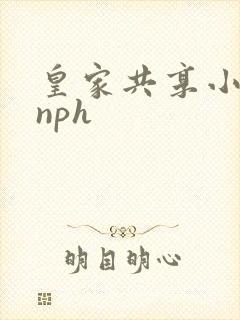 皇家共享小公主nph