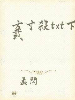 方寸杀txt下载