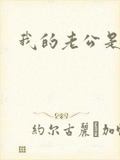 我的老公是军阀