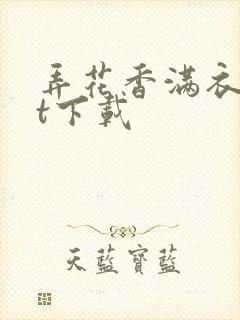 弄花香满衣txt下载