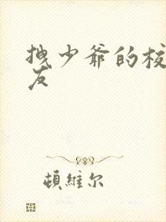 拽少爷的校花女友