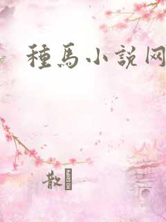 种马小说网