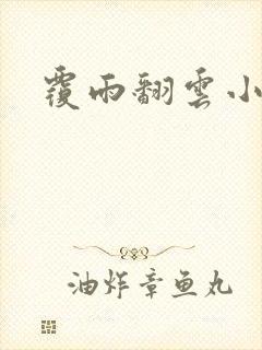 覆雨翻云小说