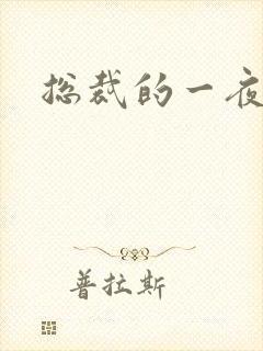 总裁的一夜情人