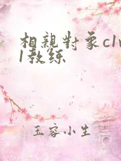 相亲对象c1v1教练