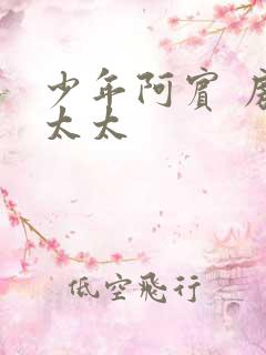 少年阿宾 房东太太