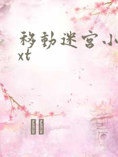 移动迷宫小说txt