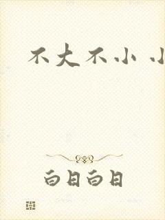 不大不小 小说
