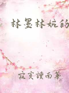 林墨林婉的小说