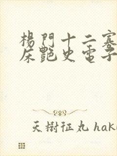 杨门十二寡妇肉床艳史电子书