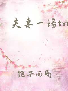 夫妻一场txt