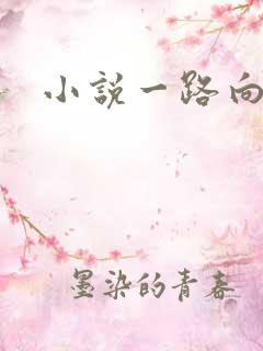 小说一路向西