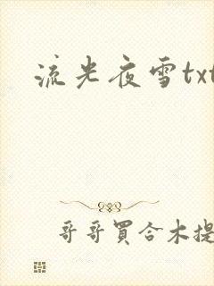 流光夜雪txt