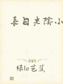 长日光阴小说
