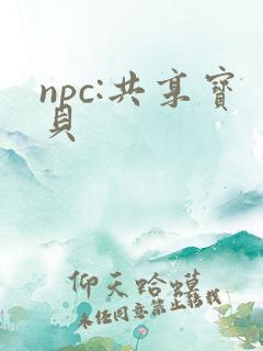 npc:共享宝贝