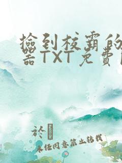 捡到校霸的遥控器TXT免费阅读