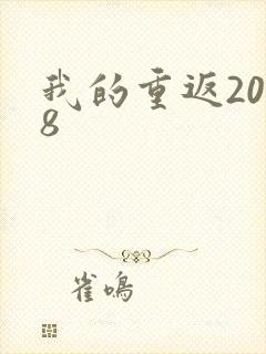 我的重返2008