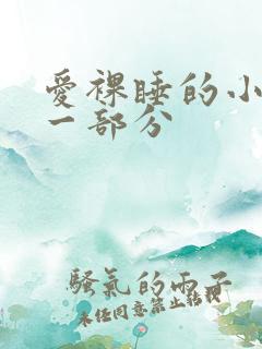 爱裸睡的小丹第一部分