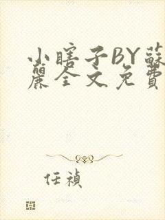 小瞎子BY苏玛丽全文免费笔趣阁