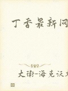 丁香最新网址