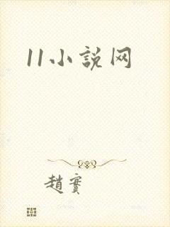 11小说网