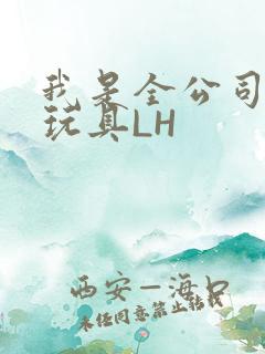 我是全公司发泄玩具LH